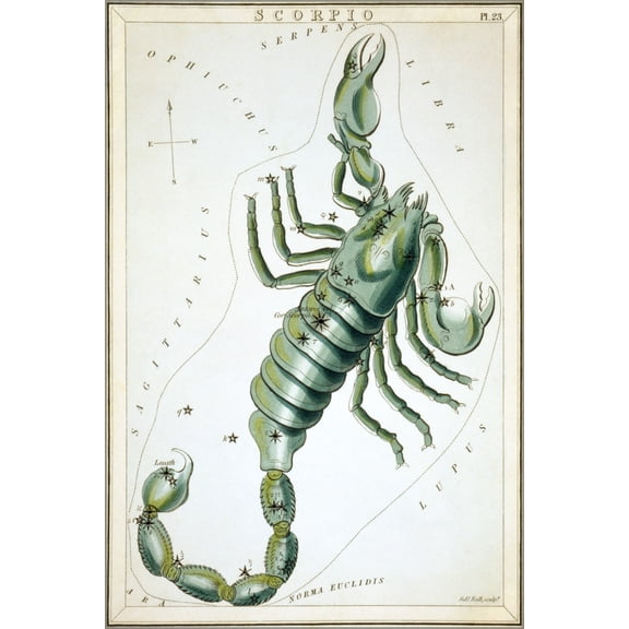 24"x36" Gallery Poster, scorpio constellation astronomy astrology zodiac map 1825