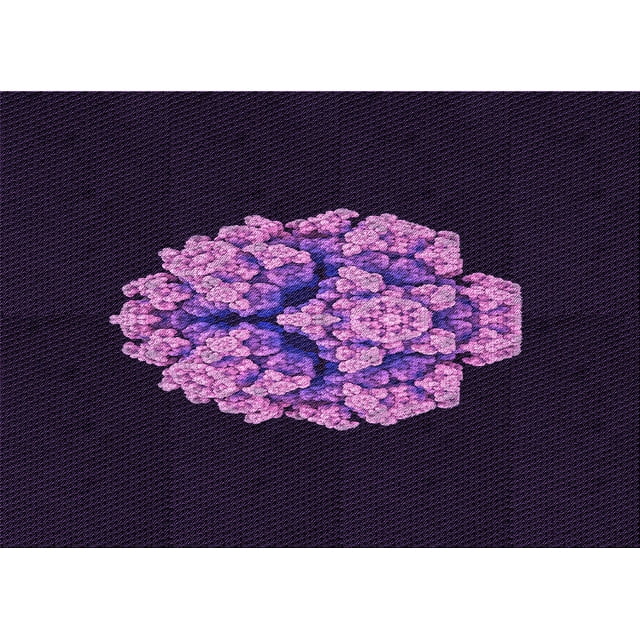 Ahgly Company Machine Washable Indoor Rectangle Transitional Deep Purple Area Rugs, 7' x 10'