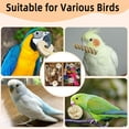 thumbnail image 4 of Parrot Shredding & Chewing Toys Box | Natural & Colorful Bird Foraging Playset for Parakeets, Cockatiels & Small to Medium Birds, 4 of 6
