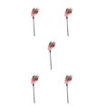 thumbnail image 2 of jesticaly Pet Toy Interactive Funny Pets Training Exercise Teaser Stick Biting Teasing Toys Plaything Color Random 1 5Set, 2 of 6