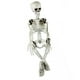 Squelette d'Halloween, squelette d'halloween Complet, Squelette avec Joints Mobiles pour Décoration d'Halloween – image 5 sur 5
