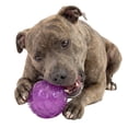 thumbnail image 4 of One Paw, Glow in the Dark Ball, Textured Rubber, 1 pack, Night Fetch Fun, for Dogs, 4 of 7