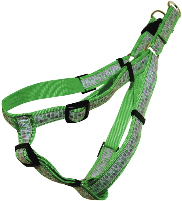 how to put on a dog harness from walmart