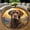 Chocolate Lab, variant on Circle Area Rug, English Springer Spaniel Washable Non-Slip Floor Carpet, Soft Rug for Living Room Bedroom Decor 24 Inch