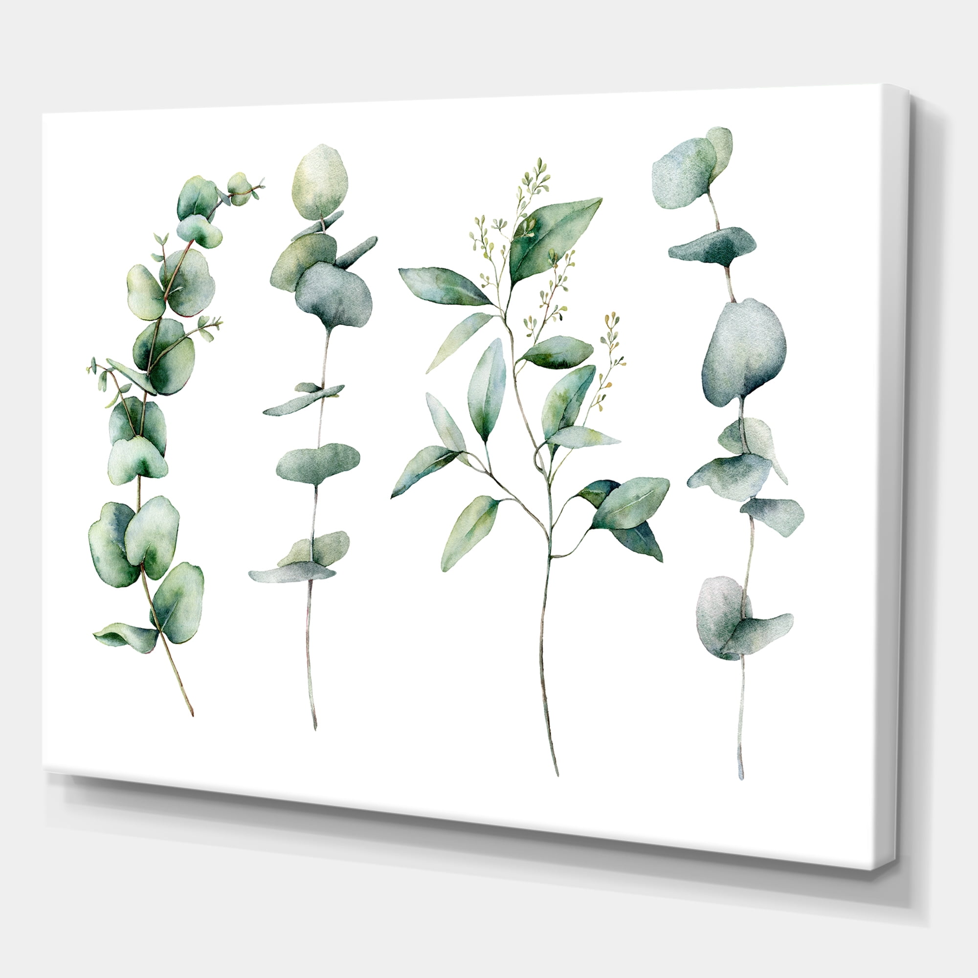 Green Eucalyptus Plant Branches I 12 in x 8 in Painting Canvas Art Print, by Designart