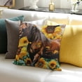 thumbnail image 3 of BANET Horse Throw Pillow Covers Soft Horse Cushion Covers Pillow Cases for Couch Sofa Bedroom Car Reversible Cute Animal Decor Decorative Throw Pillowcases 12x12in, 3 of 5