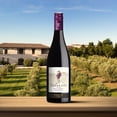 thumbnail image 3 of Vino tinto Arrogant Frog Pinot Noir 750ml, 3 of 4