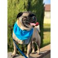 thumbnail image 3 of CoolCollar, Premium Cooling Pet Collar with Adjustable Drawstring, Keep Your Furry Friend Comfortable in Hot Weather, Medium, 3 of 5