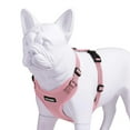 Voyager Stepin Lock Pet Harness All Weather Mesh, Adjustable Step in