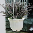 thumbnail image 4 of 6Pcs Artificial Grass Fake Plants 17.3in 16 Leaves Outdoor Fake Grass UV Resistant Greenery Plastic Plants for Home Window Garden Office Patio Hanging Planter Pathway Front Porch Decor, 4 of 5