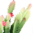 thumbnail image 2 of Simulation Plastic Cactus Plant Terrarium Reptiles Habitats Decoration Home Decor, 2 of 4
