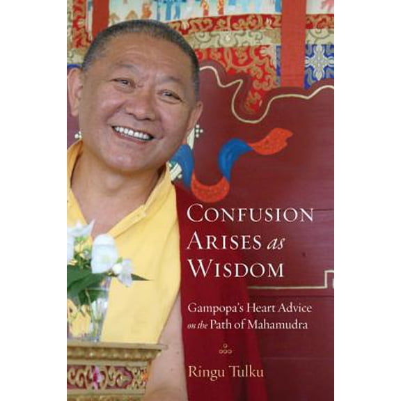 Pre-Owned Confusion Arises as Wisdom : Gampopa's Heart Advice on the Path of Mahamudra (Paperback)