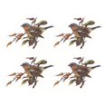 thumbnail image 1 of Calcomanías cerámicas cautivas con aves gorrión 1,5" 6 piezas, 1 of 2