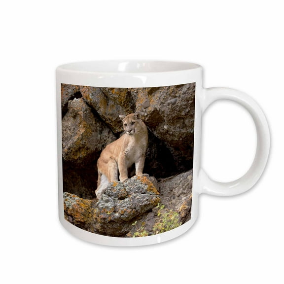 3drose, Puma, Yellowstone Np, Montana - Us27 Jmc0006 - Joe and Mary Ann Mcdonald, 11oz Mug