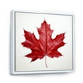 thumbnail image 2 of Designart "Simplicity In Scarlet Maple Leaf I" Leaves Floater Framed Canvas Prints, 2 of 5