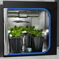 thumbnail image 5 of Sedeke 4 Buckets DWC Hydroponics Growing System with Top Drip Kit 7 Gallon Deep Water Culture Bucket System with Air Pump, Air Stone, Air Hose, Recirculating Drip Garden System, 5 of 10