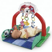 Fisher Price Barnyard Friends Gym