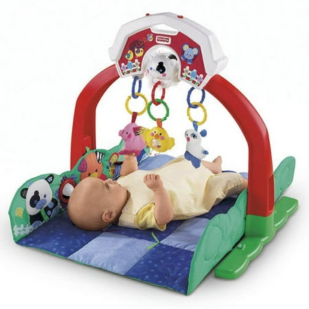 Fisher Price Barnyard Friends Gym