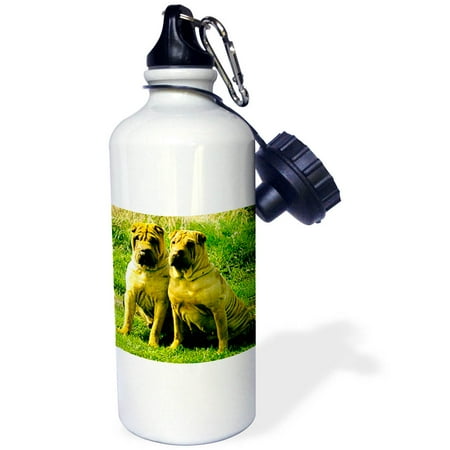

3dRose Chinese SharPei Sports Water Bottle 21oz