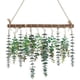 thumbnail image 1 of Decoración de baño Decoración de pared de eucalipto sintético - Hojas de eucalipto artificiales Greening Farmhouse Rústico para colgar en la pared Boda, dormitorio, cocina, guardería, fiesta Boho, 1 of 5