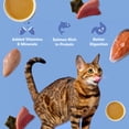 thumbnail image 3 of (24 pack) Jinx Tuna & Salmon Shreds Wet Cat Food, 4.05 oz, 3 of 11