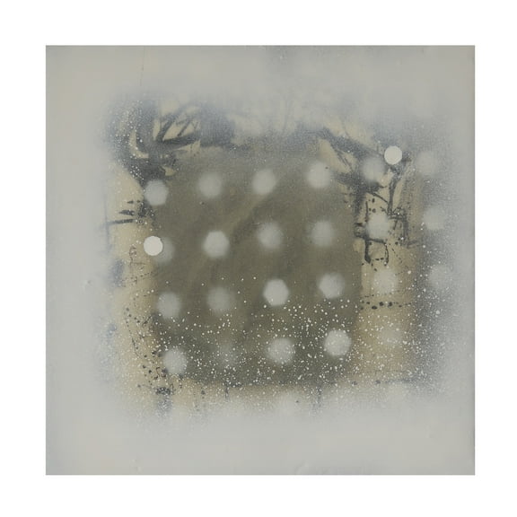 Trademark Fine Art Erin McGee Ferrell  Polka Squares IX Canvas Wall Art