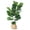 Potted grass A 39inch, variant on QinaQin 39 Inch Artificial Fiddle Leaf Fig Tree, Faux Plant in Pot with Lifelike Leaves and Natural Wood Trunk, Indoor Fake Floor Plants for Home Decor Office Living Room