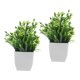 thumbnail image 5 of WEUVEB 2Ud Plantas Decorativas Artificiales Para Interiores Con Maceta Resistente Y Realismo Natural, 5 of 8