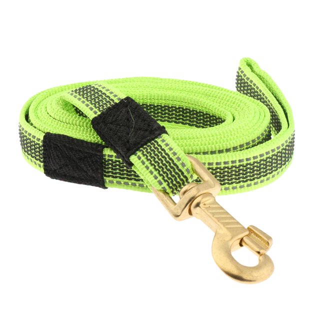 Correa Para Perros Correa Para Mascotas Correa Para Cuerdas De Nylon Resistente Y Gruesa Correa De Entrenamiento Ligero Para Perros Verde-200x2cm Salvador Cuerda para correa de perro