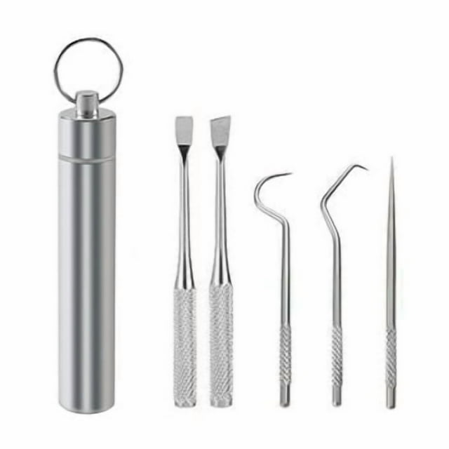 Shengyu Toothpick Travel Tooth Cleaning Pick Barbecue Fruit Fork Reusable Washable Multifunctional Teeth Flossing Flosser with Holder 5PCS