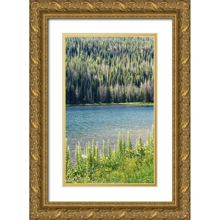 Coppel, Anna 12x18 Gold Ornate Wood Framed with Double Matting Museum Art Print Titled - Hidden Lake