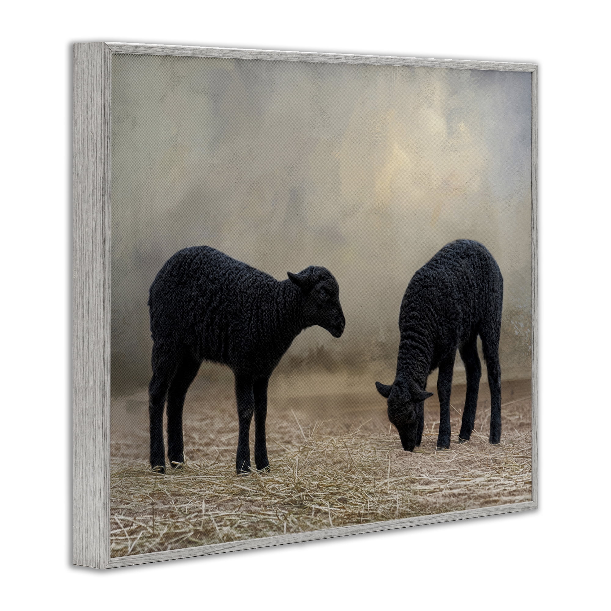 Stupell Industries Black Sheep Grazing Animals & Insects Photography Gray Framed Art Print Wall Art, 14 x 11