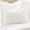 Cream, variant on Levtex Home - 100% French Flax Linen - Euro Sham - French Flax Washed Linen - Blush - Sham Size (26x26in.), No insert
