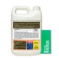 thumbnail image 2 of Protector para Madera Presto Lasur Verde 4L, 2 of 2