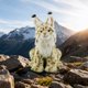 thumbnail image 5 of Juguetes de piscina, juguetes para bebés, juguetes para niños pequeños, juguete realista de lince: el mejor peluche para niños, el regalo ideal. Juguete realista de lince de peluche., 5 of 6