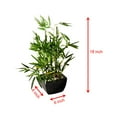 thumbnail image 6 of Westcharm 18 inch Faux Bamboo Plant - Lush Green Artificial Bamboo in Black Pot with River Stones, 6 of 10