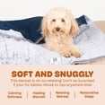thumbnail image 5 of DGS Pet Products Chill Kuzzi FIR Blanket Large Grey 40" x 50" x 0.5", 5 of 7