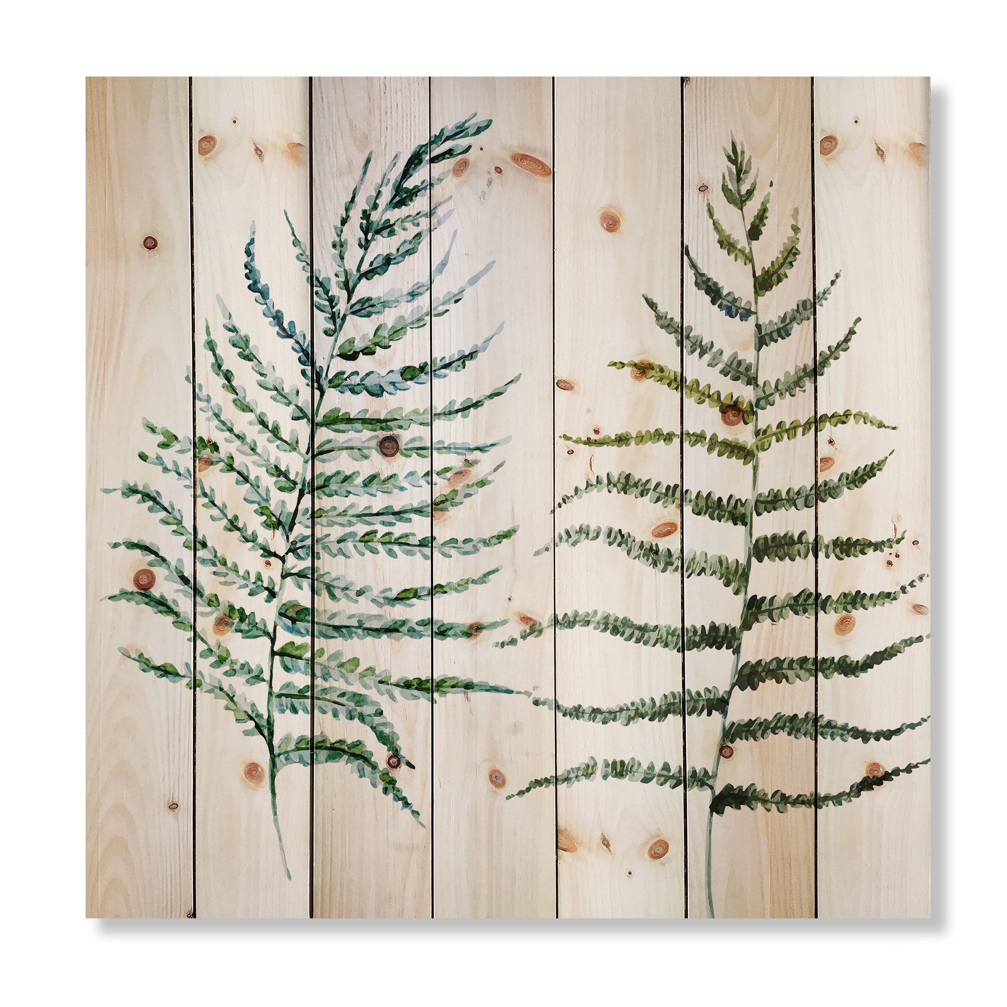 Designart 'Two Fern Leaves On White' Farmhouse Print on Natural Pine Wood