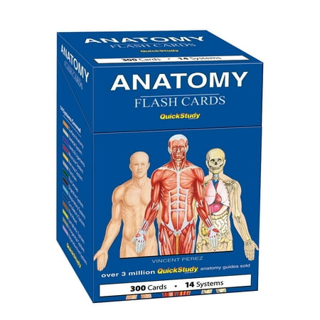 Anatomy Flash Cards : a QuickStudy reference tool (Best Anatomy Flash Cards For Nursing Students)