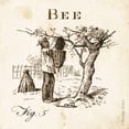 thumbnail image 3 of Babbitt, Gwendolyn 15x15 Black Modern Framed Museum Art Print Titled - Bee Fig 5, 3 of 5