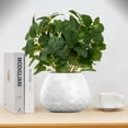 thumbnail image 5 of ABPETE 12pcs Artificial Mint Plant, Faux Greenery Plastic Houseplant Faux Stems Greenery for Garden Patio Planter Pathway Porch Kitchen Window Decor, 5 of 7