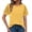 Yellow, variant on Daily Top for Women's Lace Crew Neck Short Sleeve T Shirt Plus Size Stretchy Blouse Casual Summer Top Pink M