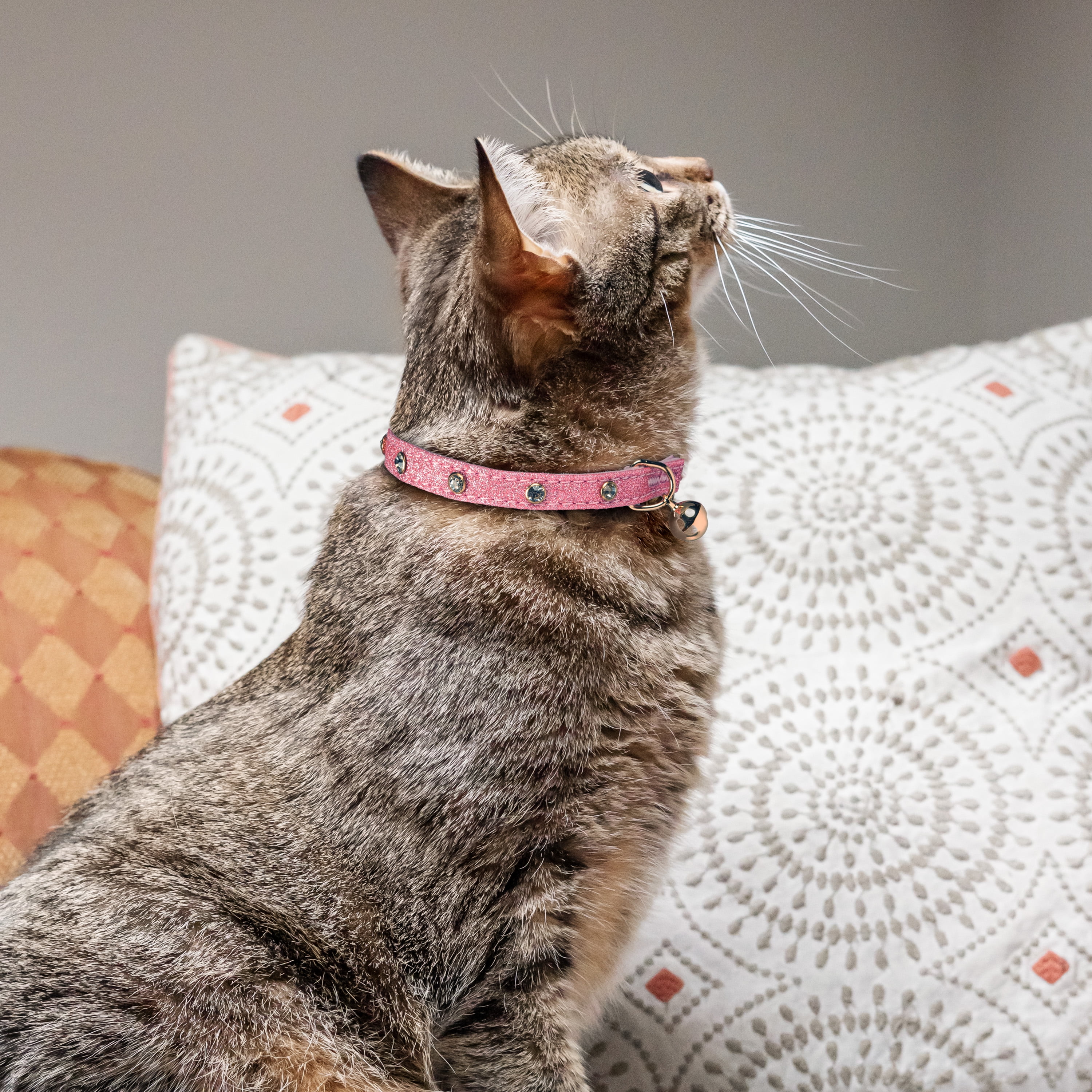 Breakaway Cat Collars teal & Silver Marble 