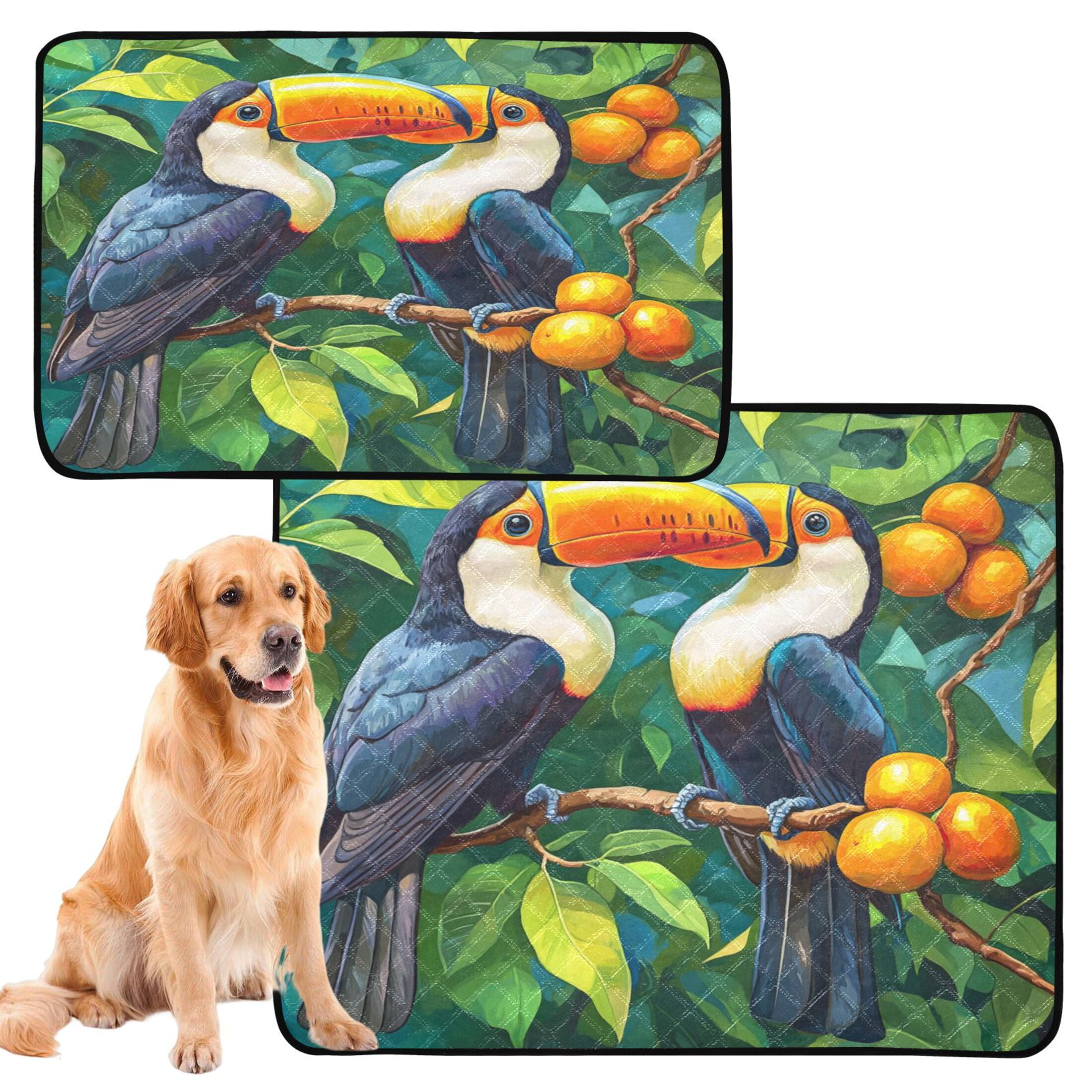 Qxltty Toucans Perched on Branches Cat litter Pads Pet Set of 3 Diaper Mats Center Anti-leakage Layer Absorbent Soft and Comfortable
