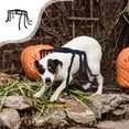 thumbnail image 1 of Sentmoon Costume de Tarantule pour Animaux de Compagnie Fantômes d'Halloween Costume de Transformation pour Chien Décoration de Tarantule pour Tenue d'Halloween pour Animaux, 1 of 7