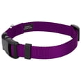 thumbnail image 3 of Country Brook Design&reg; Deluxe Nylon Dog Collar and Leash, 3 of 6