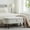 White, variant on Storage Ottoman Bench End of Bed for Bedroom,Upholstered Entryway Shoe Seat Bench with Storage, Modern Cute Padded Blanket Chest Stool Foot Rest for Living Room, Window Seating