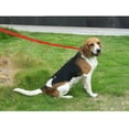 thumbnail image 6 of Pettom Dog Training Agility Lead Long Leash for Puppy Obedience Recall Training 30ft 50ft 65ft Easy to Hold for Play Fetch Camping Beach Backyard, 6 of 9