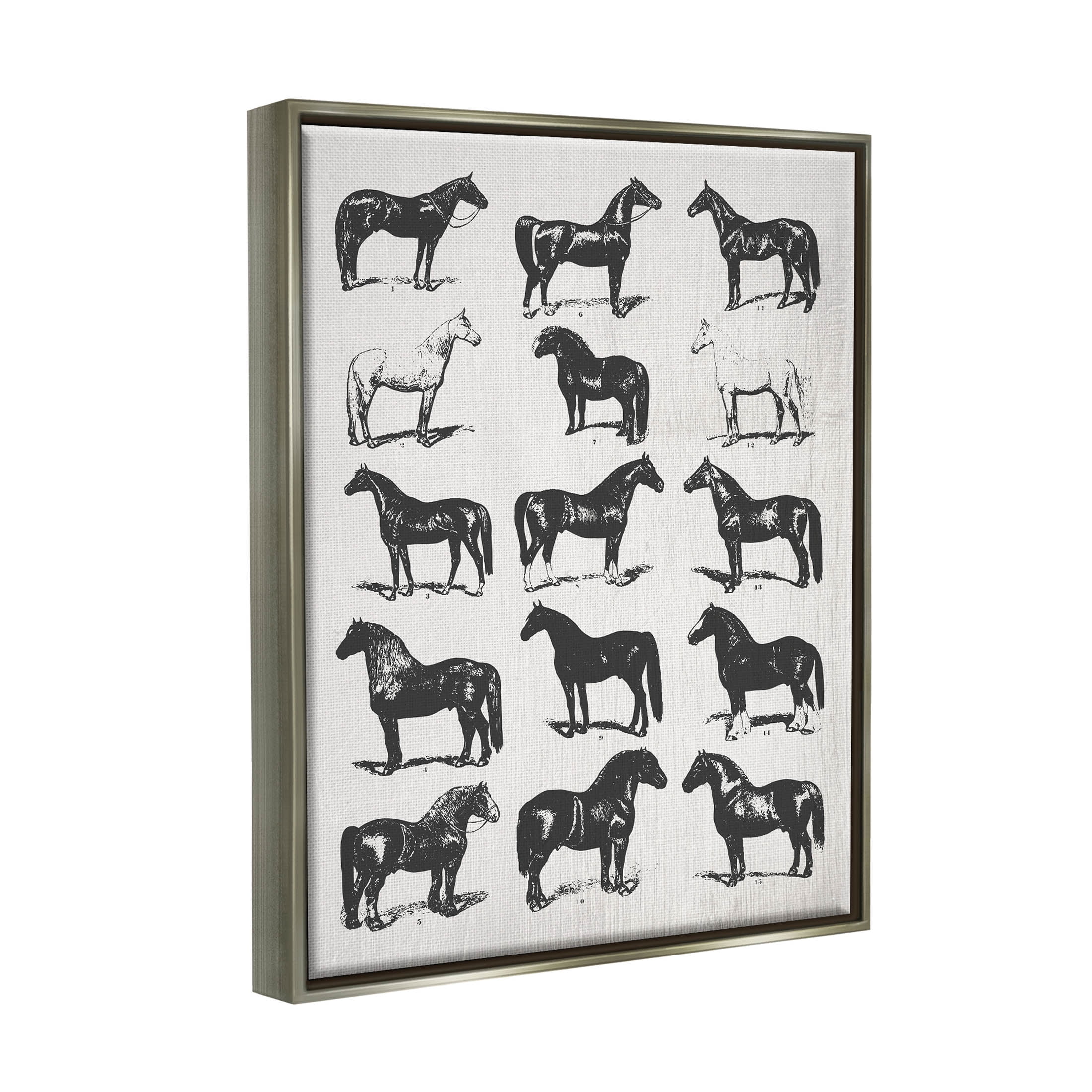 Stupell Industries Vintage Varied Horse Breeds Graphic Art Luster Gray Floating Framed Canvas Print Wall Art, Design by Daphne Polselli