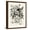 Brown Frame, variant on Art.com Matisse's Muse Still Life II Art Print by Victoria Barnes, White Frame Wall Art, 32" x 40"